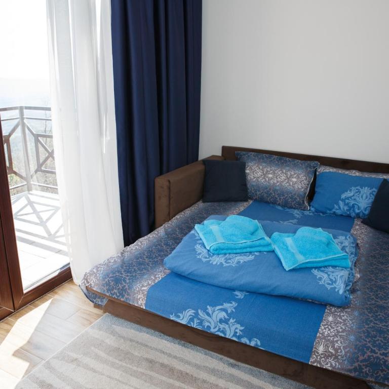Dvori Sky View E14 Kopaonik - free private parking - Apartman sa 1 Spavaćom Sobom - 5