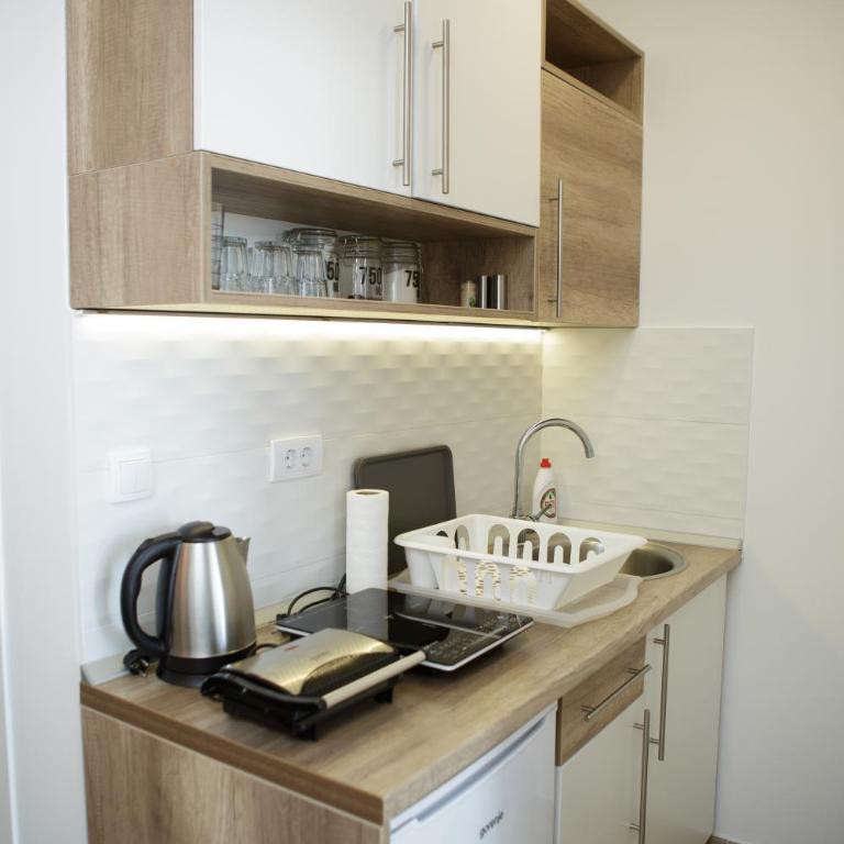 Dvori Sky View E14 Kopaonik - free private parking - Apartman sa 1 Spavaćom Sobom - 10