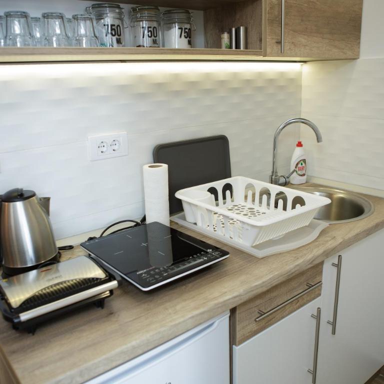 Dvori Sky View E14 Kopaonik - free private parking - Apartman sa 1 Spavaćom Sobom - 11