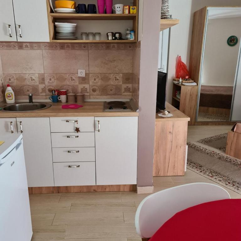 Divcibare apartmani Gavrić - Apartman Tipa "Suite" sa 1 Spavaćom Sobom - 4
