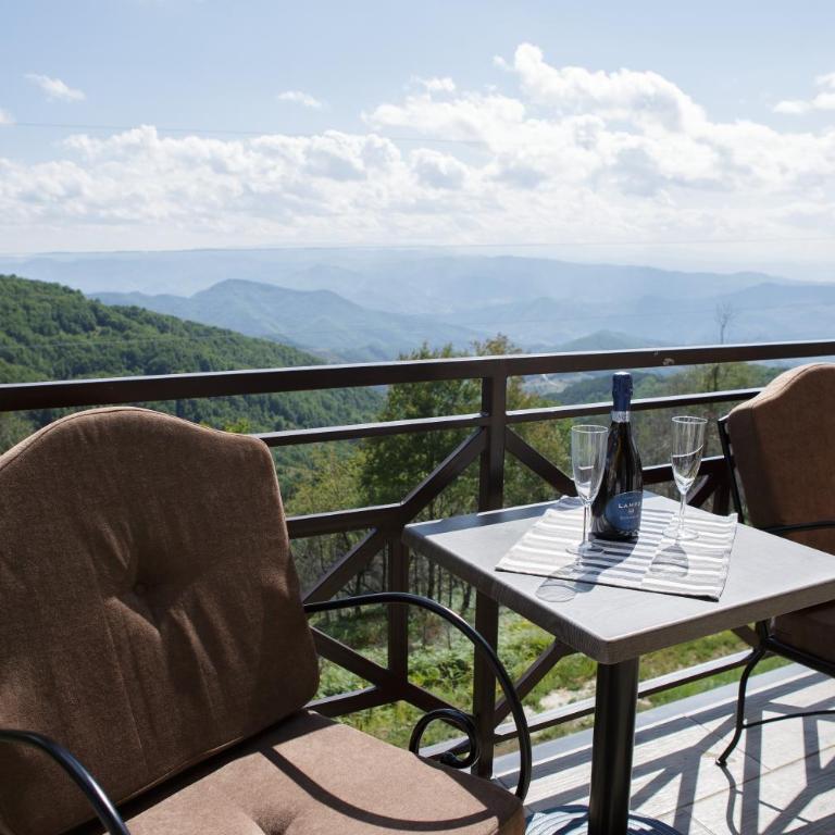 Dvori Sky View E14 Kopaonik - free private parking - Apartman sa 1 Spavaćom Sobom - 1