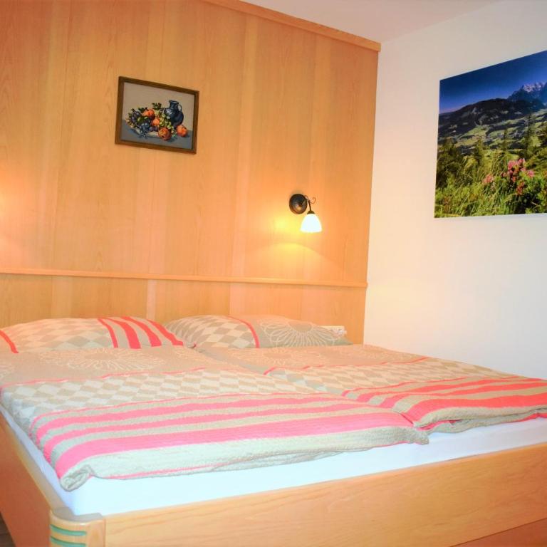 Ferienwohnung Saalbach Fieberbrunn - One-Bedroom Apartment with Balcony TOP 10 - 5
