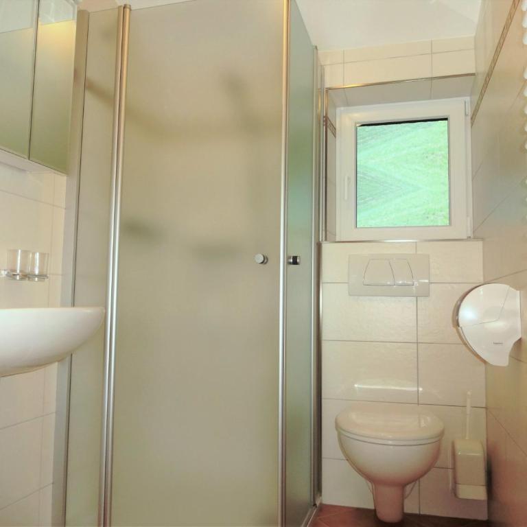 Ferienwohnung Saalbach Fieberbrunn - One-Bedroom Apartment with balcony TOP 6 - 5