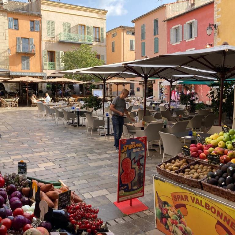 Charming Apartment in the heart of Valbonne Village - Appartement 1 Chambre - 33