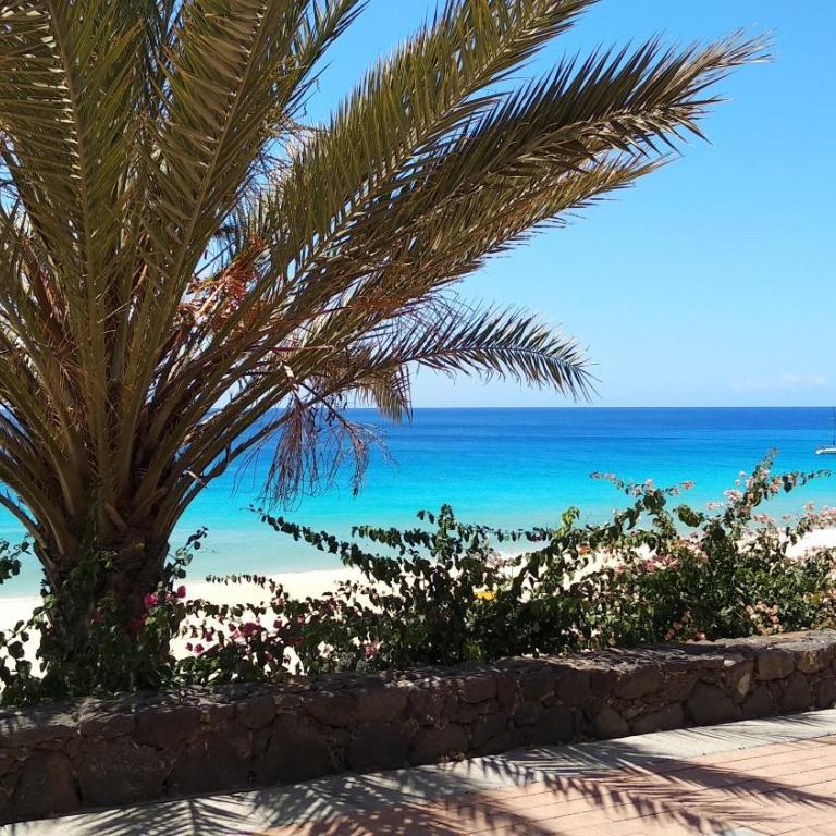 Bungalow Tetir in Caleta de Fuste - One-Bedroom Apartment - 37