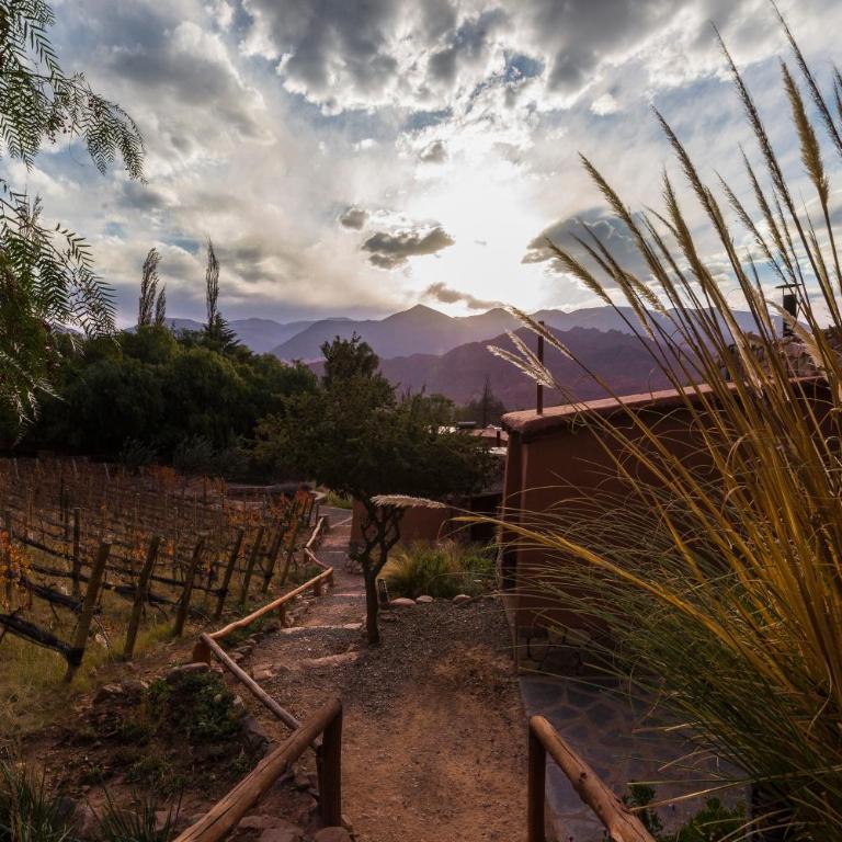 Villa del Cielo - Bungalow - 29