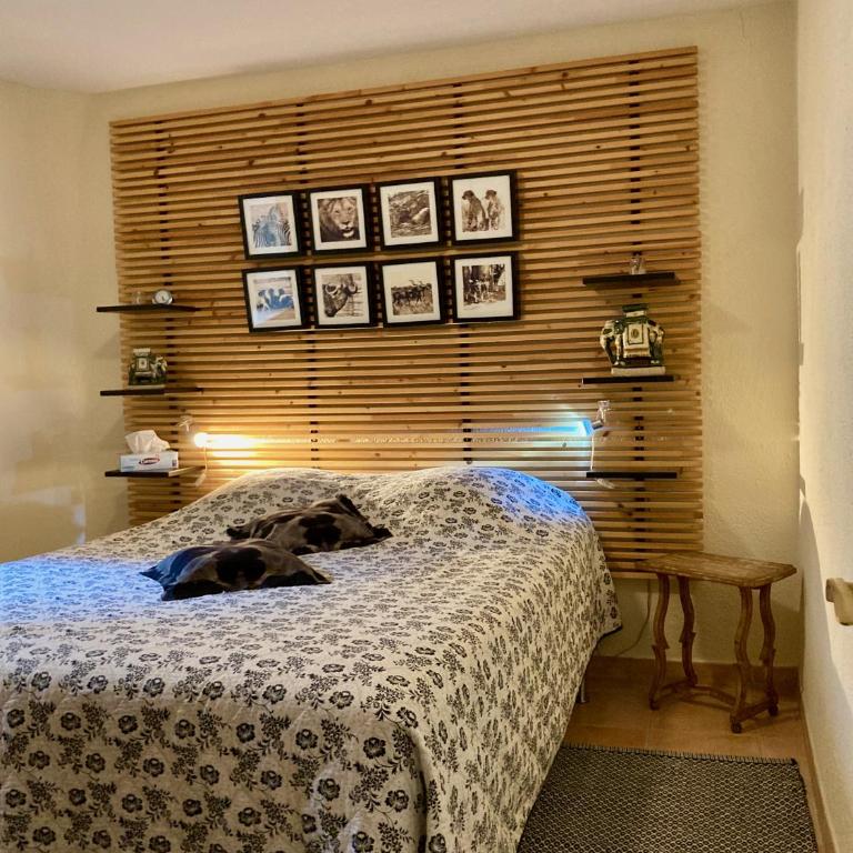Charming Apartment in the heart of Valbonne Village - Appartement 1 Chambre - 1
