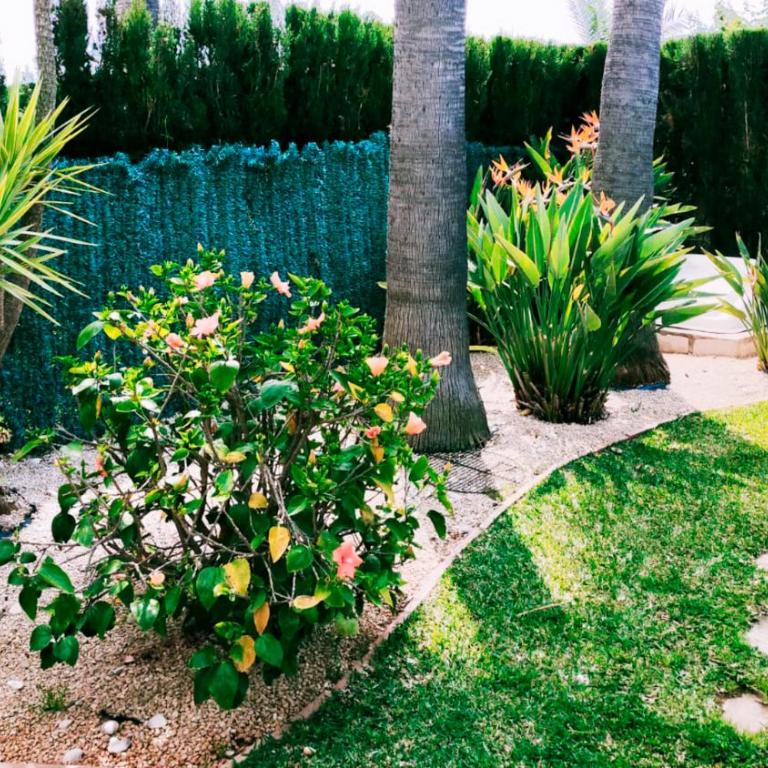 Villa El Palmar - Casa de 3 dormitorios - 27