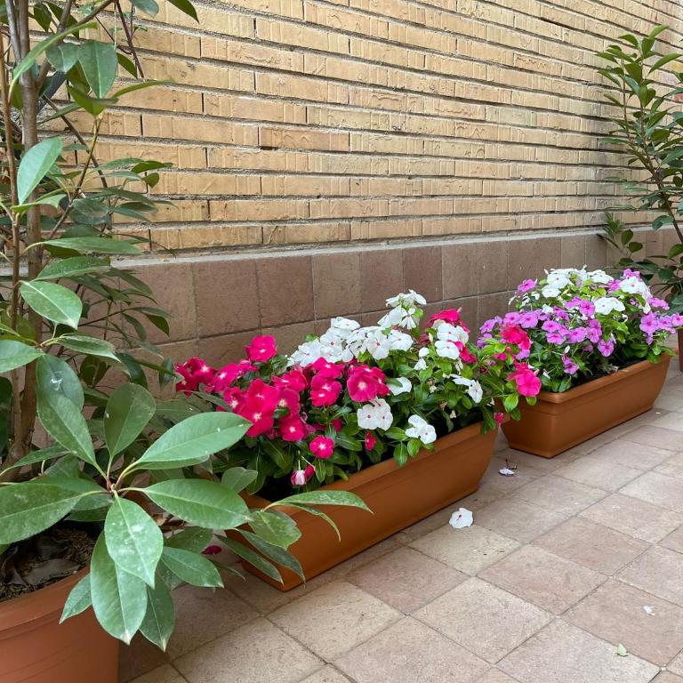 Flowers in Rome - Casa Vacanze - 23