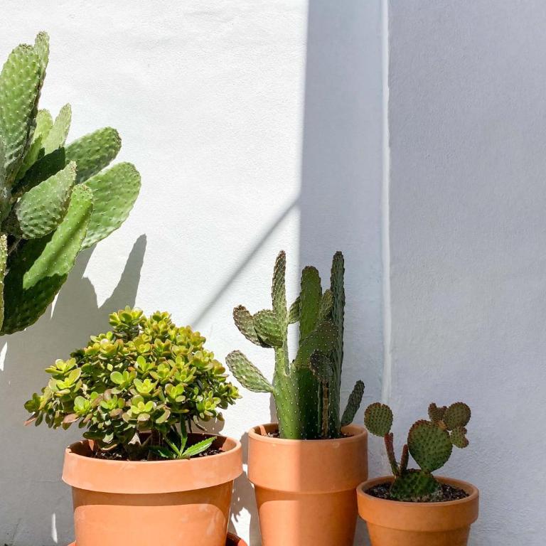 Tarifa Cozy House - Luxurious Beach House - Casa de 2 dormitorios - 38