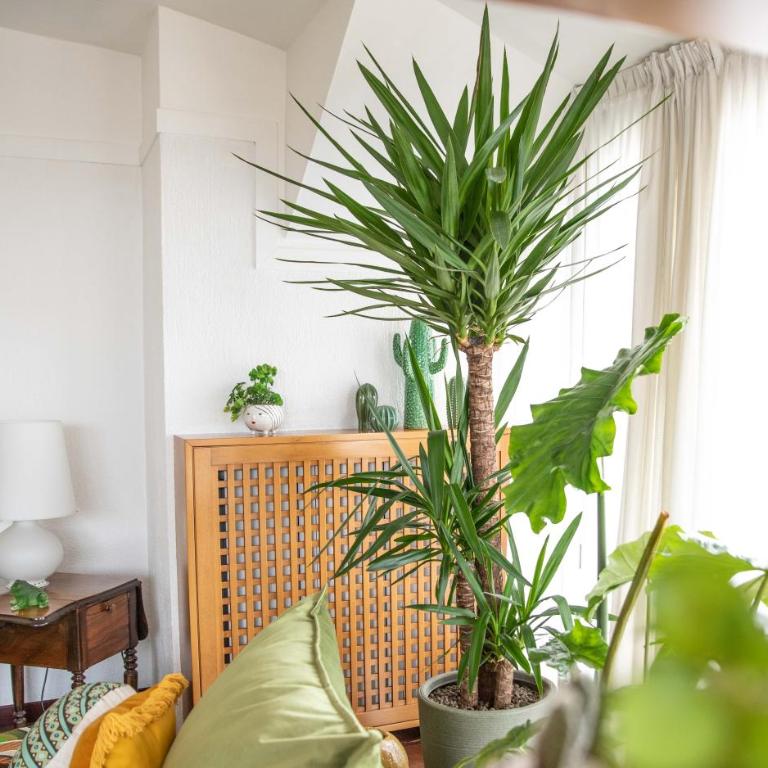 Skyline - Un Attico da Sogno - Appartamento con 2 Camere da Letto - 8