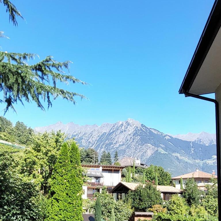 Marlingsuites - Vinea - Wieser Josef - Marling - Appartamento con 2 Camere da Letto - 31