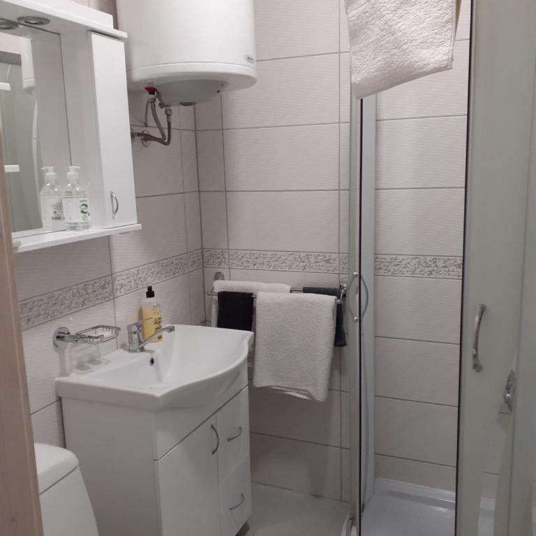 Flora Novi Sad - Apartman sa 1 Spavaćom Sobom - 5