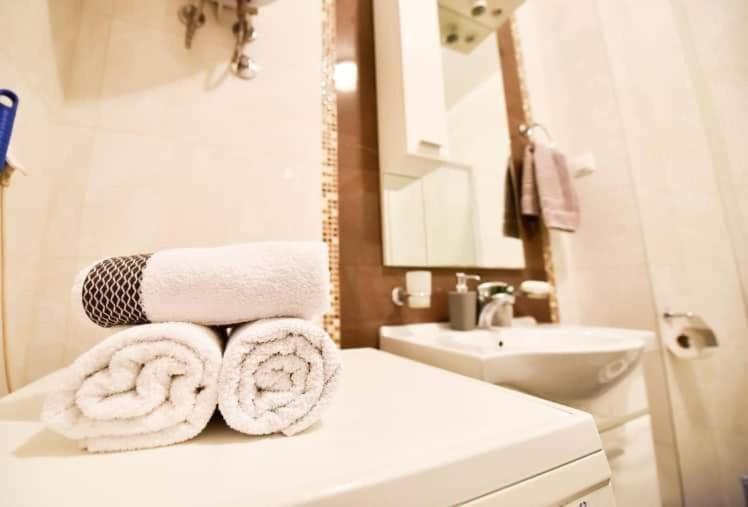 Apartman Garden - Apartman sa 1 Spavaćom Sobom - 7