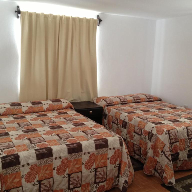 Whale Hill - Estudio (6 adultos) - 12