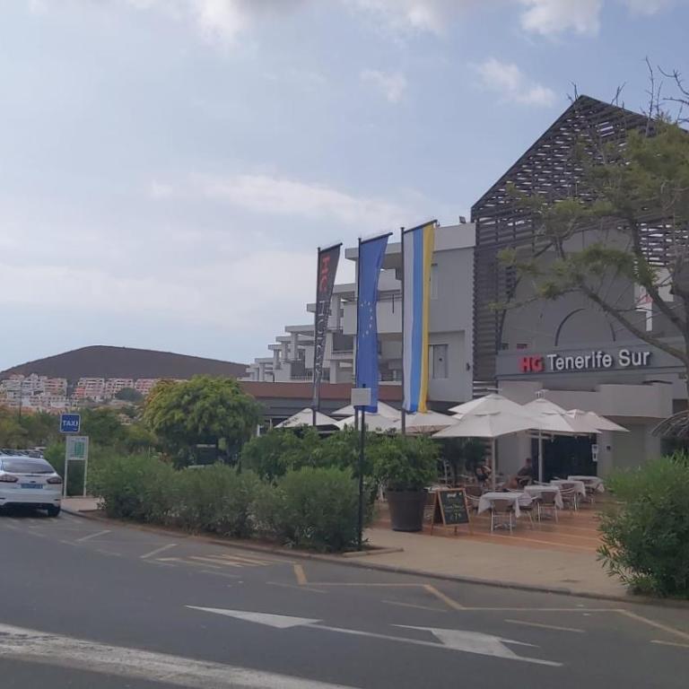 Private Apartment 150 HG Tenerife Sur - Apartamento - 23