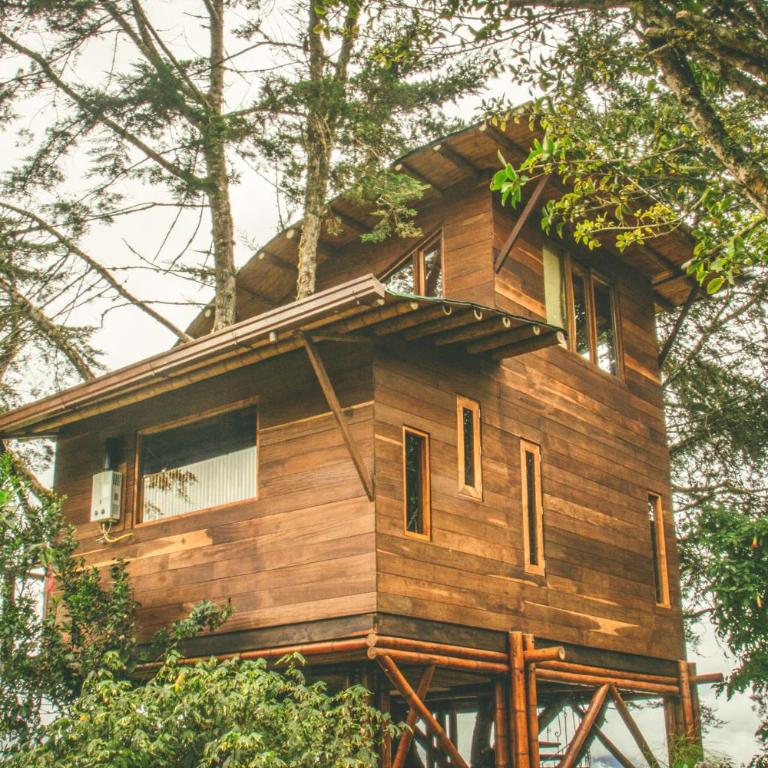 La Gloria Reserva Forestal - Suite Dúplex - 3