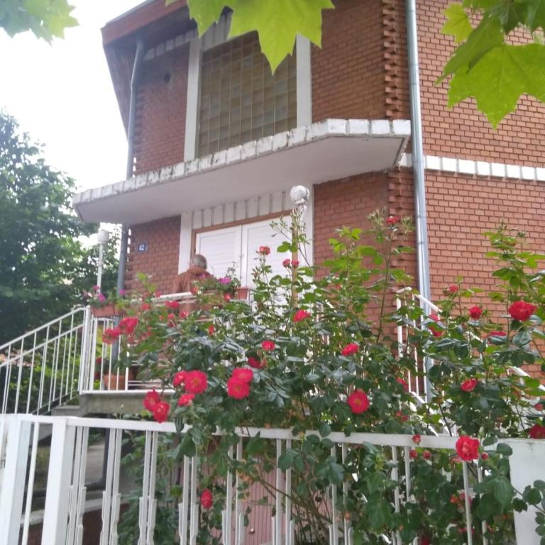 Sandrea Studio Apartment - Apartman sa 1 Spavaćom Sobom - 28
