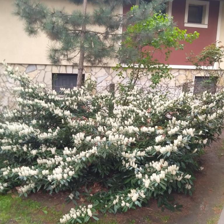 Sandrea Studio Apartment - Apartman sa 1 Spavaćom Sobom - 30
