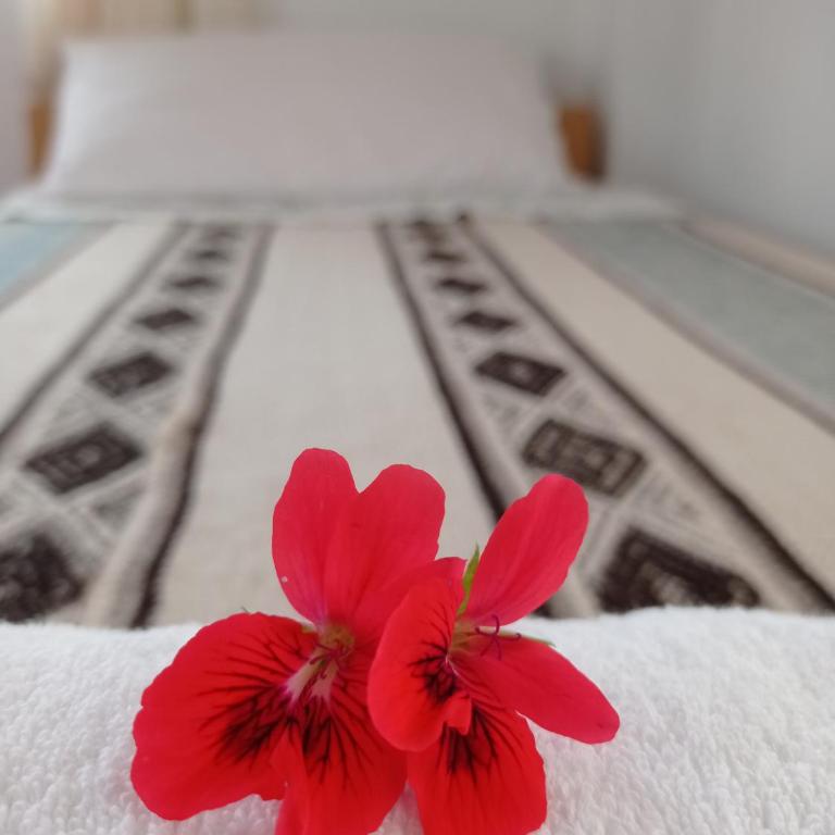 Hospedaje y Restaurante Saywa - Standard Single Room with Shared Bathroom - 3