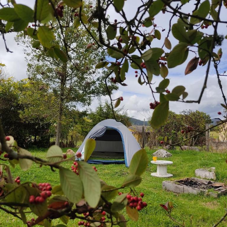 Iwoka Ecoturismo - Tent - 6