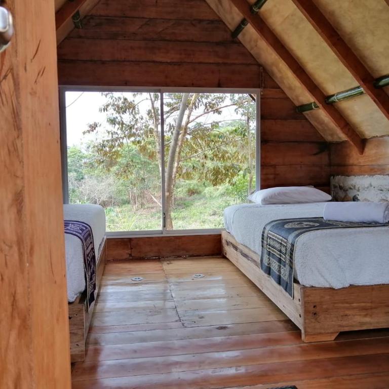 Cacao Glamping - Bungalow Estándar - 3