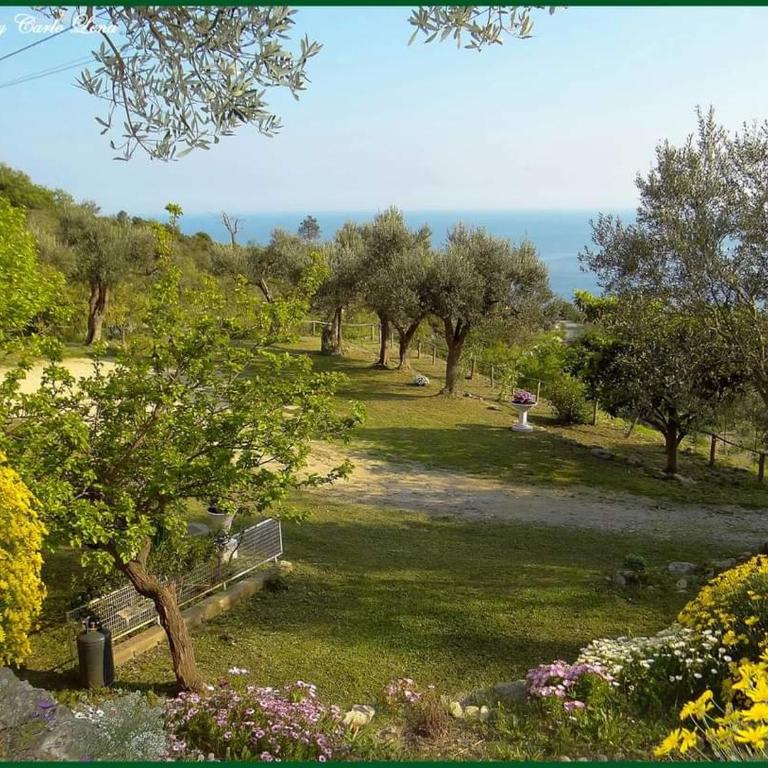 Villa Pierina - Appartamento - Piano Terra - 6