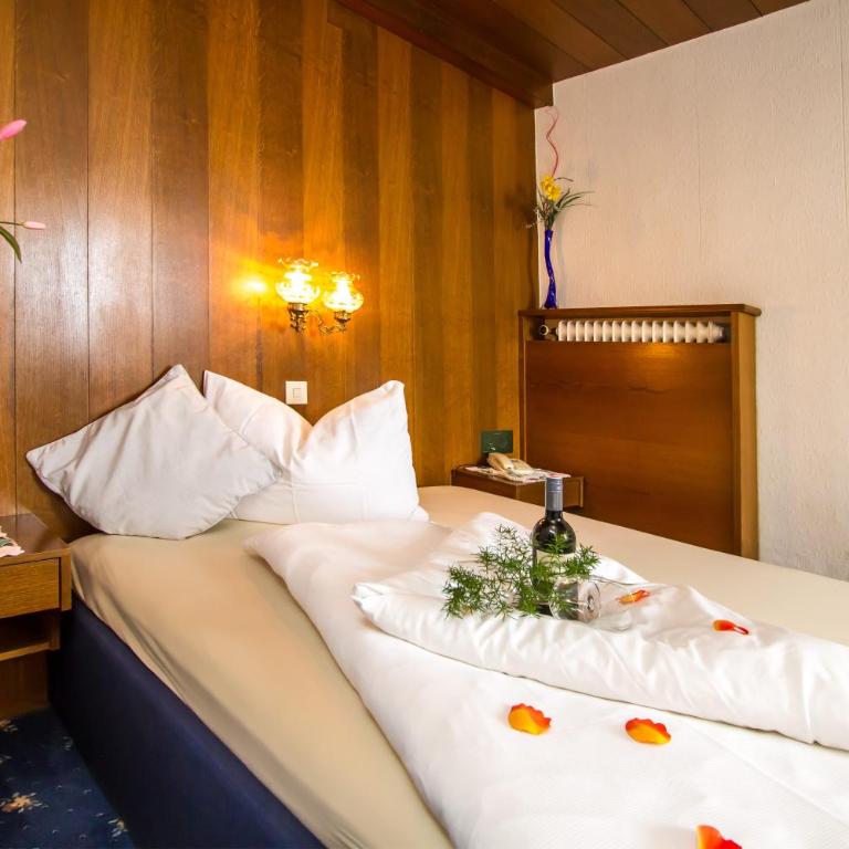 Hotel Metzgerwirt - Einzelzimmer - 5