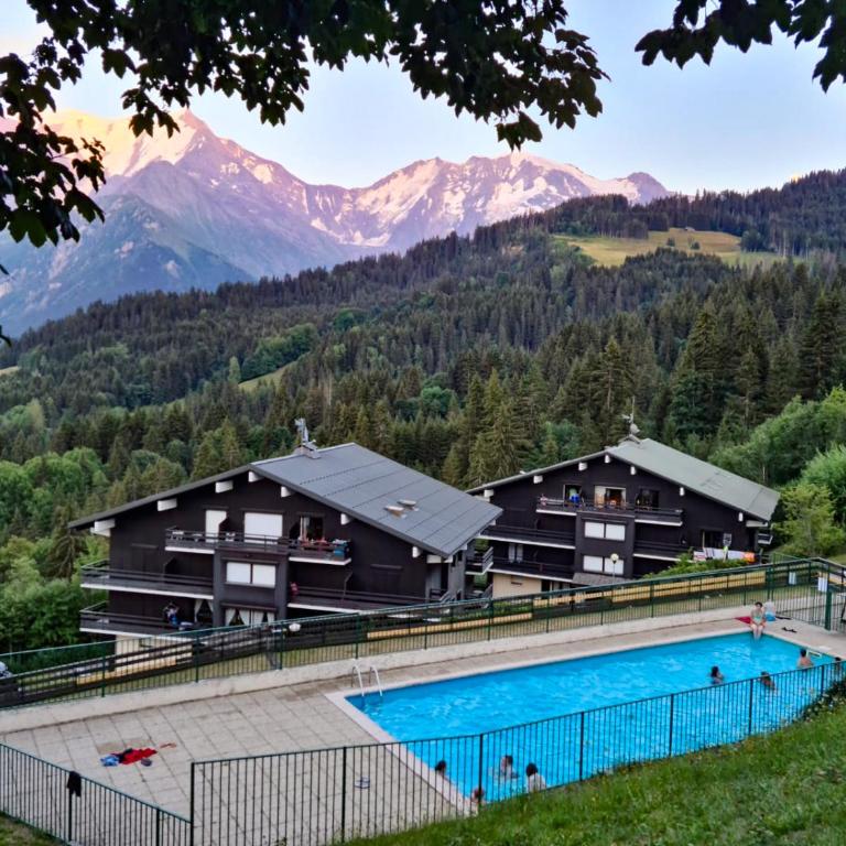 Charmant Studio vue montagne - ski, piscine, tennis, randonnées - Studio mit Bergblick - 18