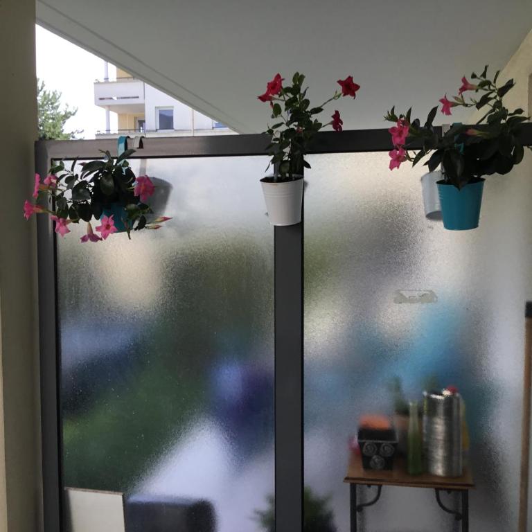 L Édelweiss et sa piscine - Apartment mit 1 Schlafzimmer - 37