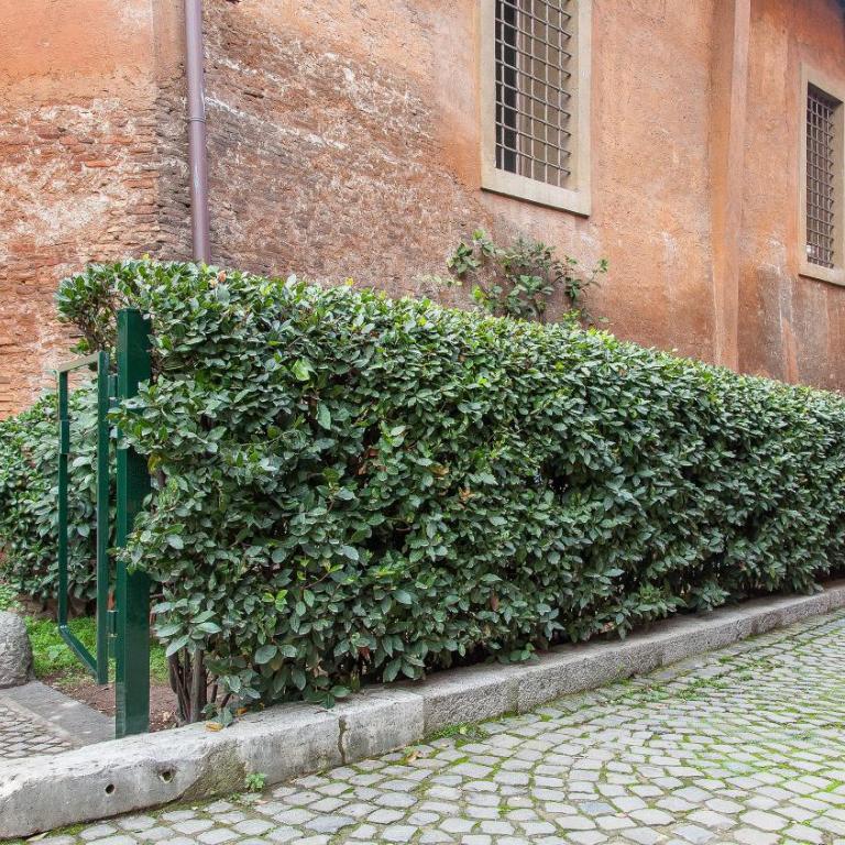 Imperial Forum Rental in Rome - Appartamento con 1 Camera da Letto - 11