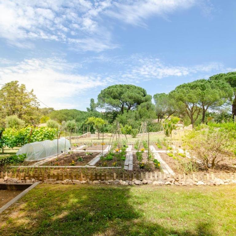 Villa Siena - Villa Deluxe - 63