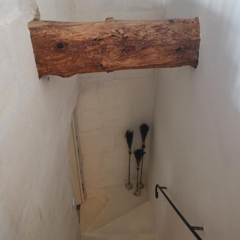 L'oustaou d'Arles - Casa a Schiera con 3 Camere da Letto - 27