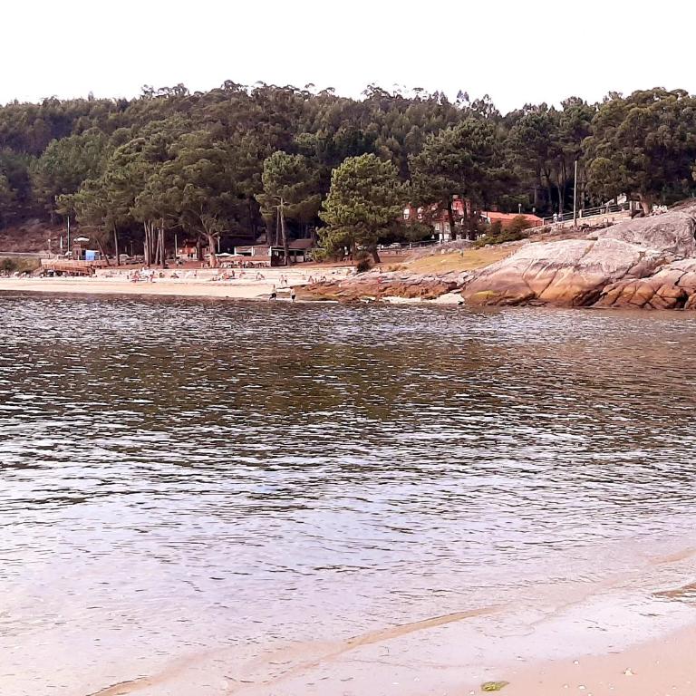 Apartamento Casa Tambo, Campelo - Apartamento de 2 dormitorios - 18