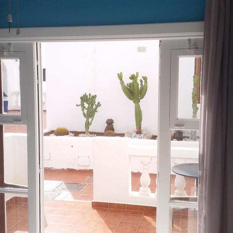 Ocean Dreams Suite Heated Pool - Apartamento Estudio - 6