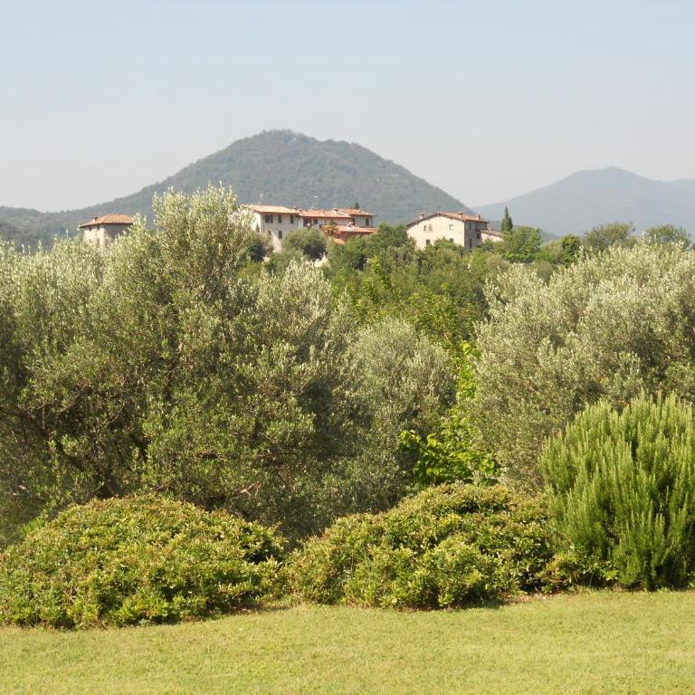 Agriturismo Renzano garden apartments - Appartamento Monolocale - 21