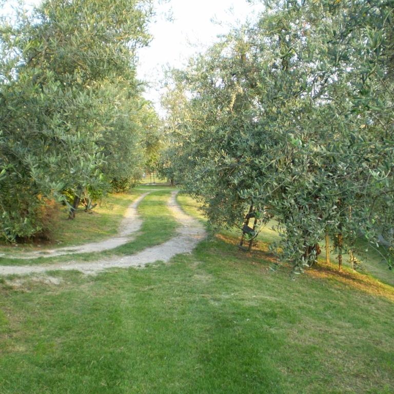 Agriturismo Renzano garden apartments - Appartamento Monolocale - 44