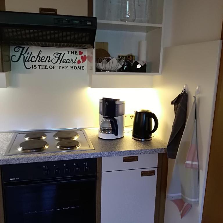 Zillertal Apartment mit Traumausblick - Haus Kirchler - Apartment mit 1 Schlafzimmer - 36