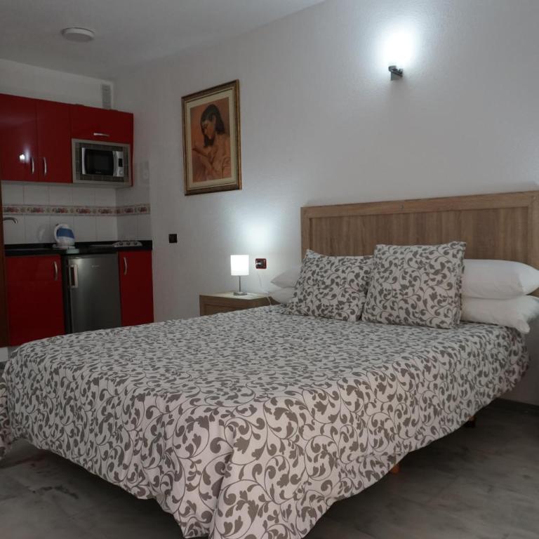 Apartamentos Pirámides - Studio - 15