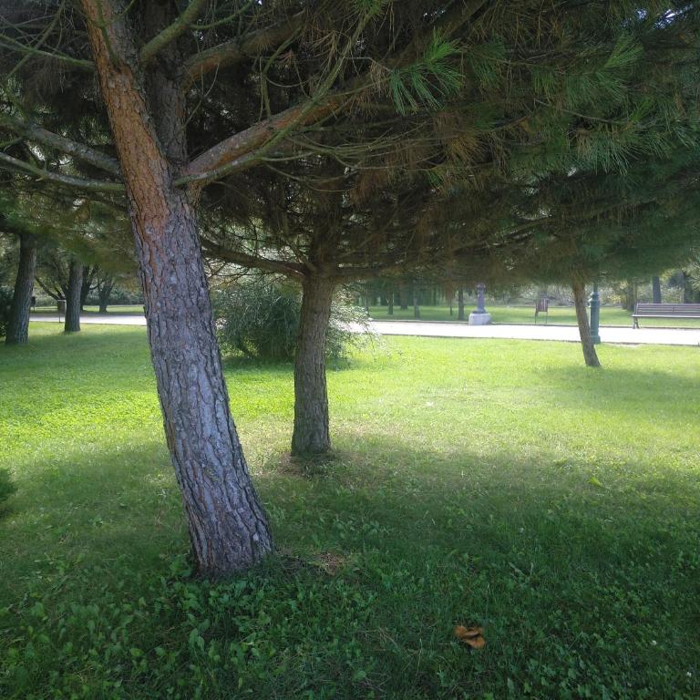 Imperial, 9 - Three-Bedroom Apartment - 46