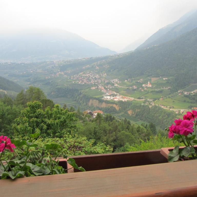 Gasserhof Garni & Apartment - Camera Matrimoniale Standard - 1