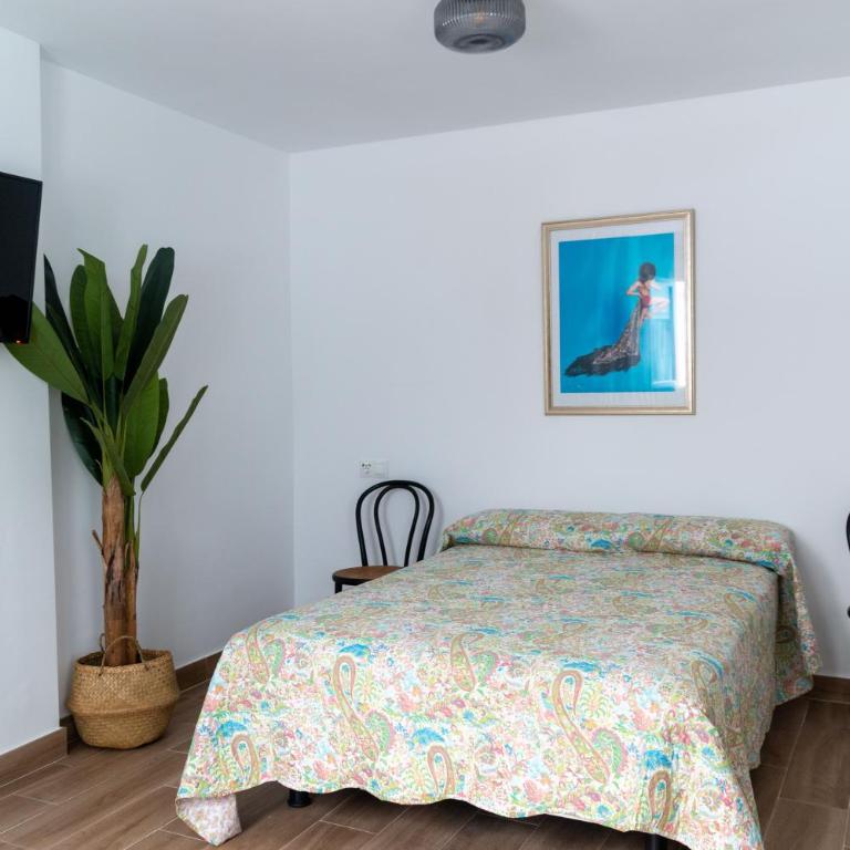 Apartamentos El Alcazar de Jerez - Apartamento 5 - 8
