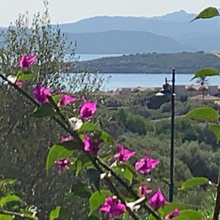 Casa Adelaide, oasi di pace con vista mare - Casa con 2 Camere da Letto - 20