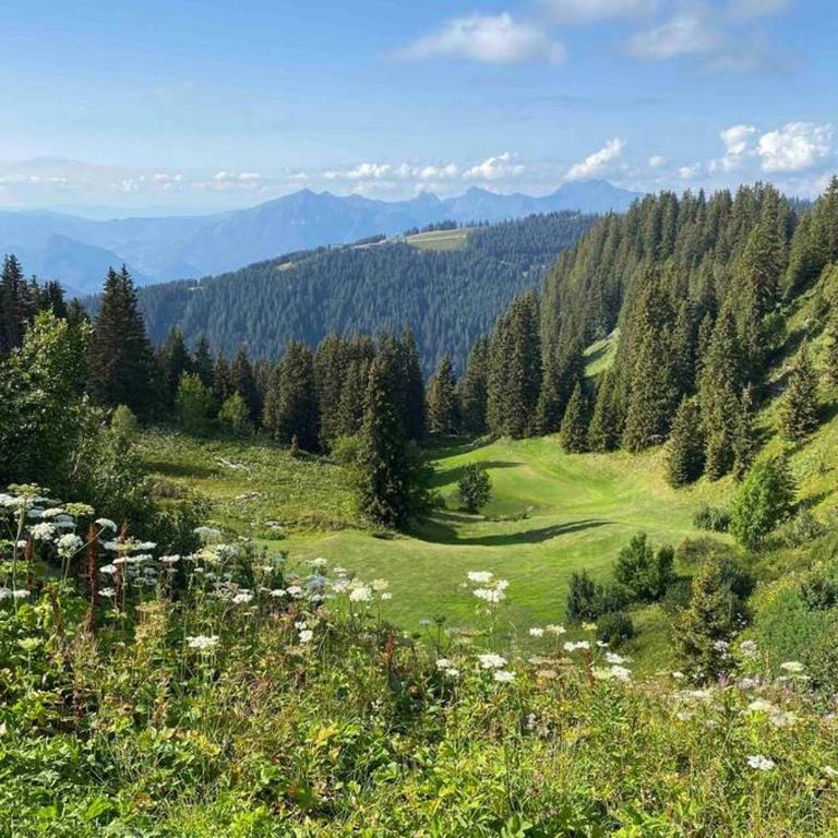 Vue panoramique sur les montagnes plein Sud - T2 Skis aux pieds, Piscine & Spa - Appartement 1 Chambre - 42