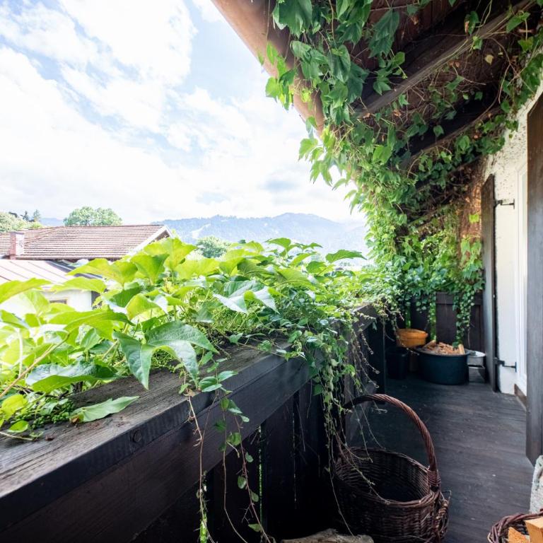 Ludwigschlössl - Casa Vacanze - 49