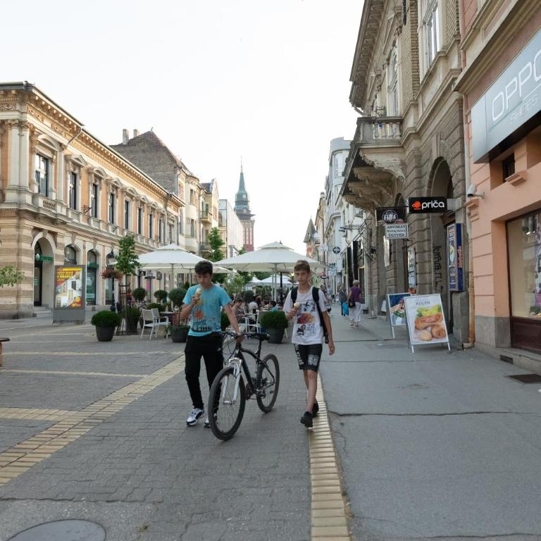 Downtown Lux Apartments, Subotica - Two-Bedroom Apartment - 15