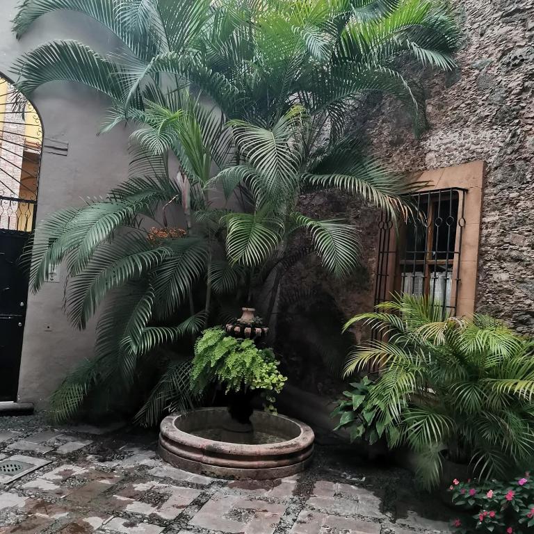Cuarto Panchito ***Centro Histórico*** - Quadruple Room with Private Bathroom - 19