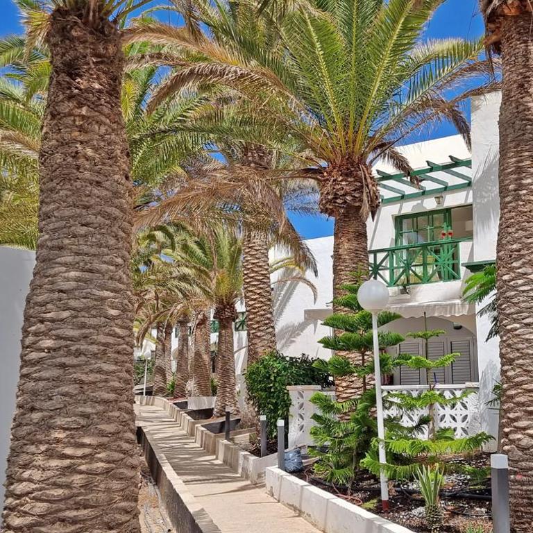 Ferienwohnung PALM GARDEN - Costa Calma - Pool - GlasfaserInternet - Apartamento de 1 dormitorio - 15