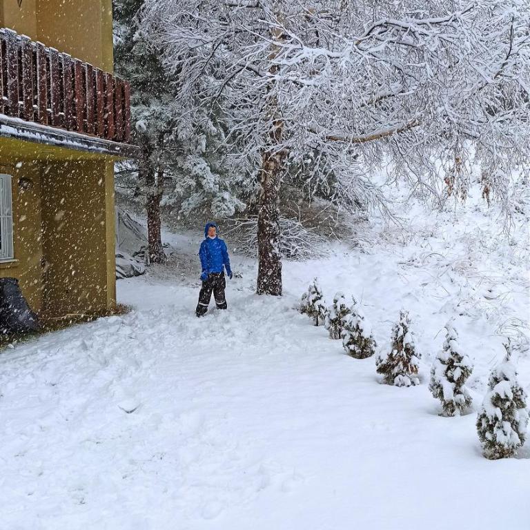 Vikendica Kop - Five-Bedroom House - 6