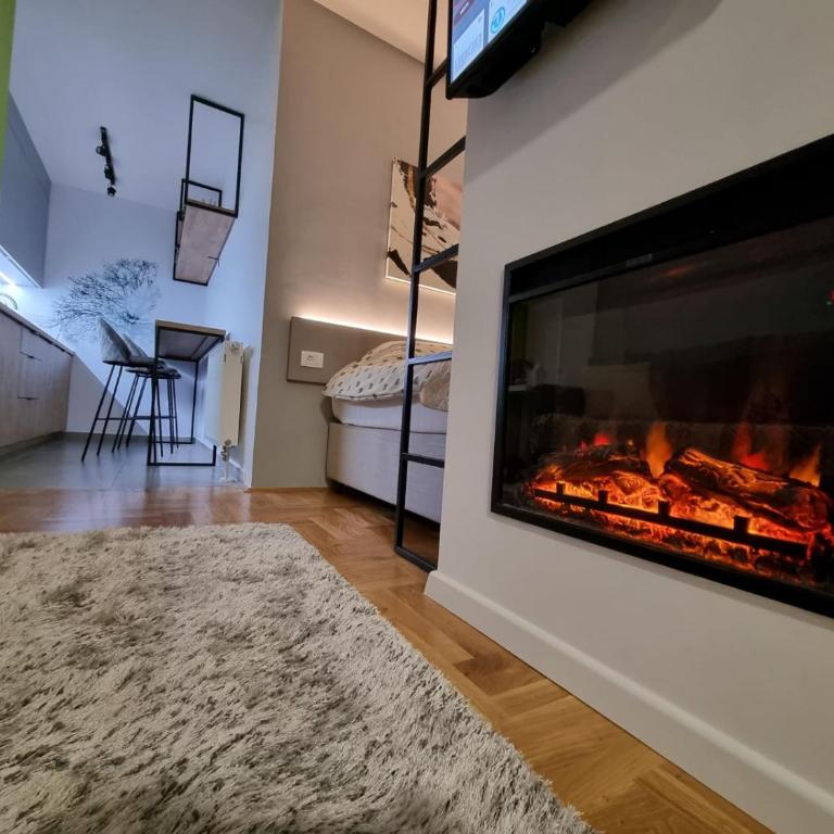 Studio Apartman Golden Lux 1 - Apartman sa 1 Spavaćom Sobom - 2
